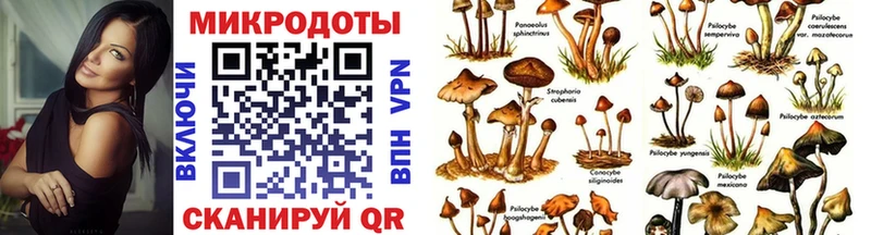 Галлюциногенные грибы GOLDEN TEACHER  закладка  Зима 