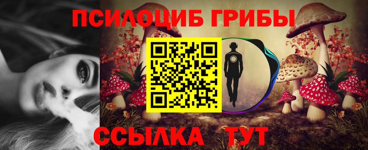 Галлюциногенные грибы мухоморы  Вход с VPN  Зима 