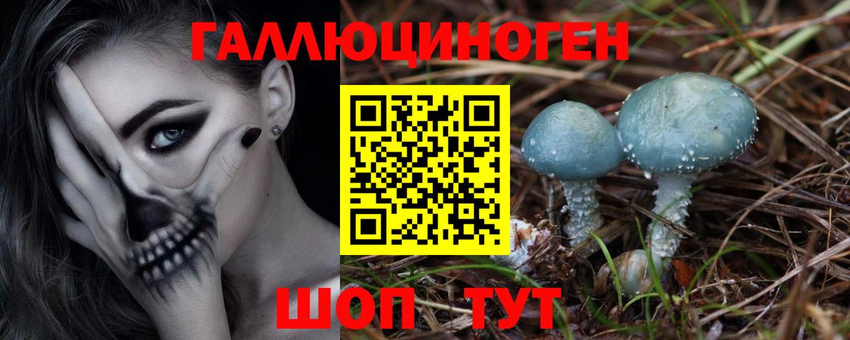 Галлюциногенные грибы GOLDEN TEACHER Зима